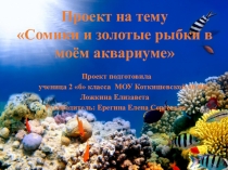 Проект по теме  Сомики и золотые рыбки