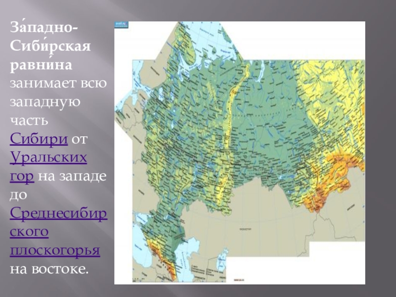 Внешний облик западно сибирской равнины