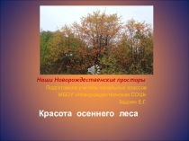Презентация по материалам экскурсии Красота осеннего леса