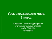 Презентация по окружающему миру на темуВесна (1 класс)