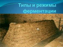 Презентация по анатомии Ферменты