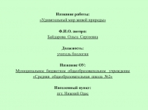 Презентация для проведения интеллектуальной игры Удивительный мир живой природы
