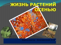 Презентация по окружающему миру на тему Жизнь растений осенью 1 класс