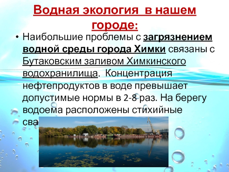 Водная экология в нашем городе: Наибольшие проблемы с загрязнением водной среды города Химки связаны с Бутаковским заливом