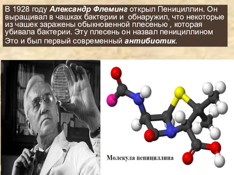 Пенициллин презентация по химии