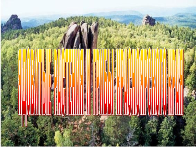 Презентация на тему красноярский край