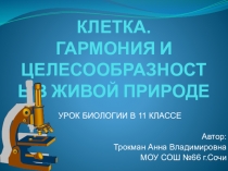 Презентация по биологии на тему: Клетка. Гармония и целесообразность в живой природе