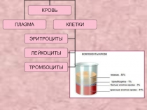 Презентация открытого урока по биологии Группы крови 8 класс