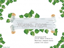 окружающий мир