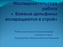 Презентация к исследовательской работе Боевые дельфины возвращаются в строй