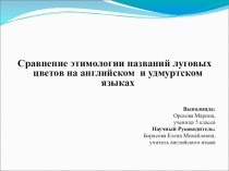 Презентация по исследовательской работе
