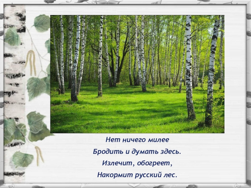 Русский лес 2. Нет ничего милее бродить и думать здесь излечит. Русский лес нет ничего милее бродить. Стих о русском лесе нет ничего милее. Берегите лес окружающий мир 2 класс Планета знаний.