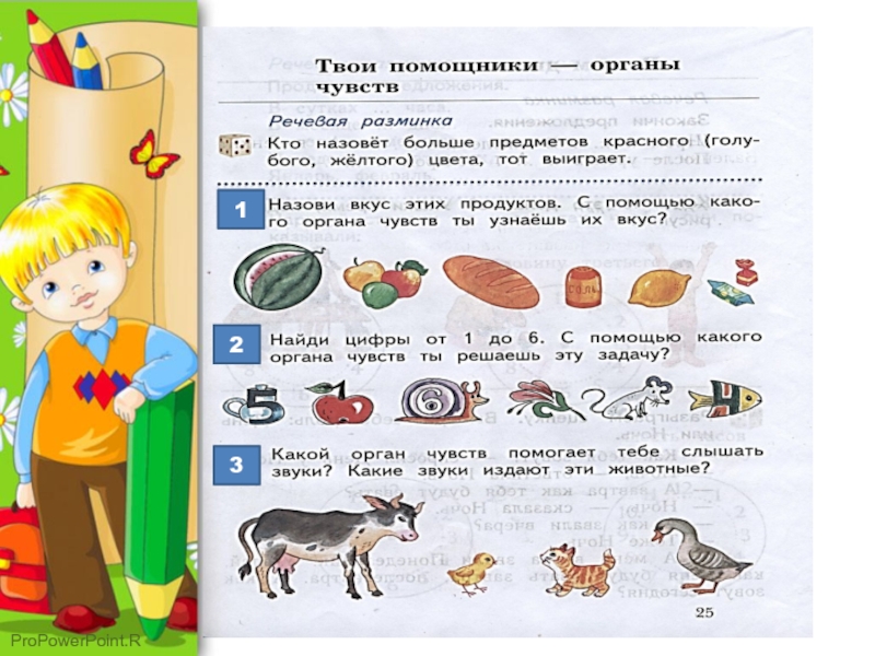 Речевая практика 1. Органы чувств задания. Органы чувств задания для детей. Органы чувств 1 класс. Органы чувств задания для дошкольников.