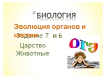 Презентация подготовка к ОГЭ Эволюция животных