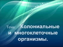 Презентация по биологии на тему Колониальные и многоклеточные организмы