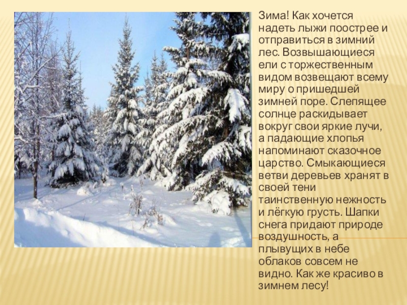 Тема текста зимний лес. Описание зимнего леса 6 класс. Сочинение по теме зимний лес. Сочинение на тему зимний лес 5 класс. Причастия на тему зима.