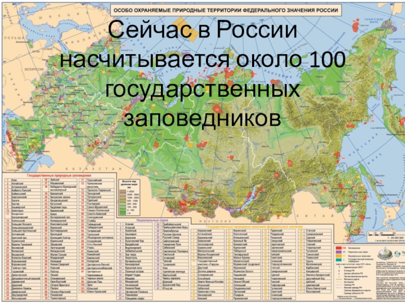 Любой вид особо охраняемых природных территорий. Охраняемые территории в России карта атлас. Карта особо охраняемые природные территории России атлас. Карта особо охраняемых территорий заповедников России. Охраняемые территории России атлас 8 класс.
