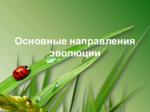 Презентация к уроку биологии в 11 классе на тему Направления эволюции