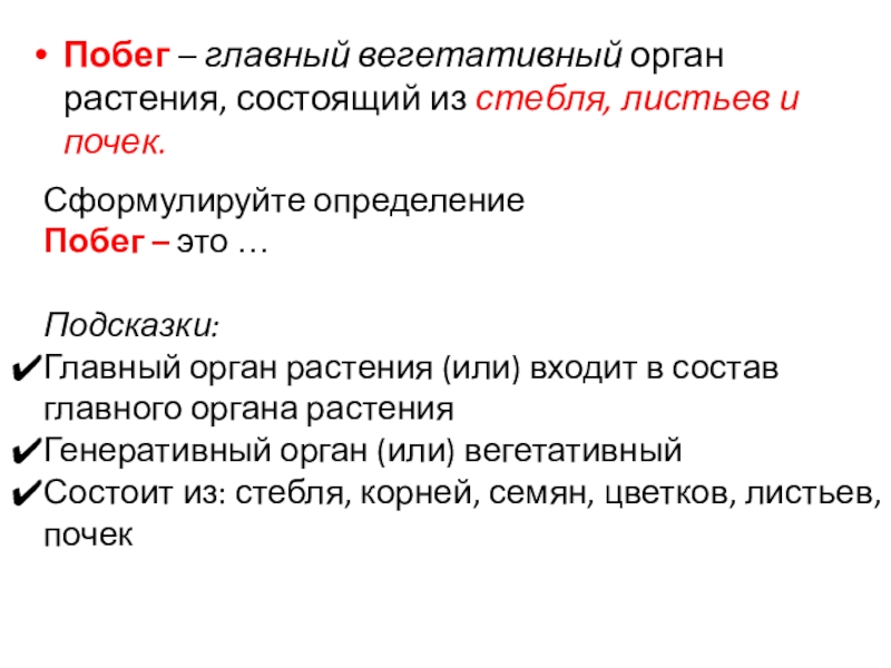 Тест по биологии 6 класс побег