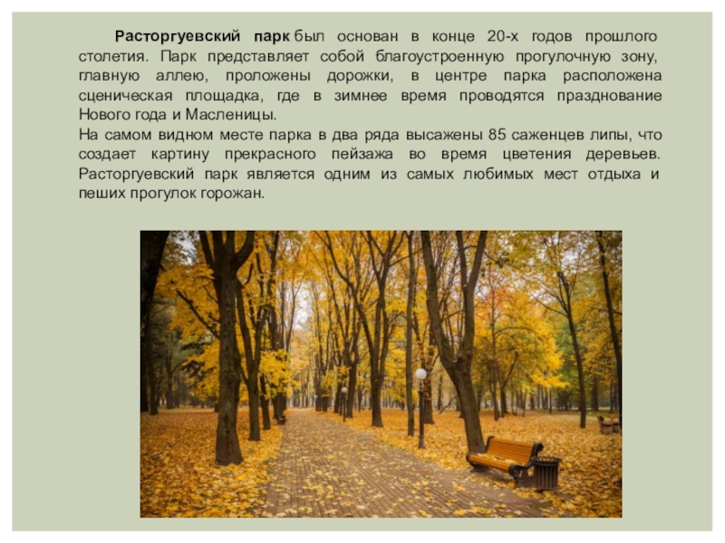 Расторгуевский парк был основан в конце 20-х годов прошлого столетия. Парк представляет собой благоустроенную прогулочную зону, главную аллею,