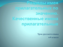 Презентация по русскому языку на тему Разряды имен прилагательных (6 класс)