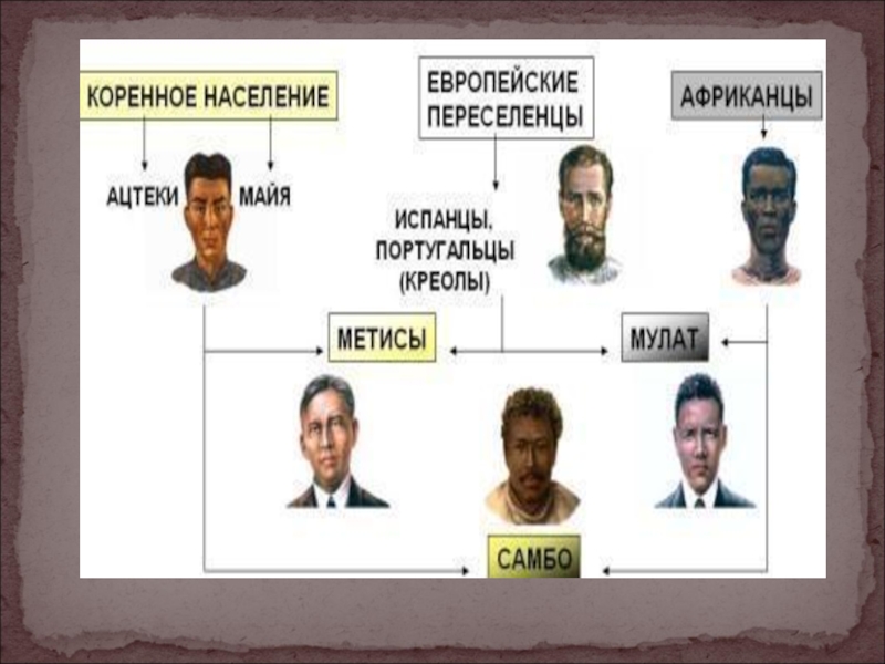 Креолы в латинской америке. Креолы в Латинской Америке 19 век. Население Латинской Америки в 19 веке. Население Латинской Америки 19 век. Население Латинской Америки схема.