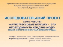 Презентация Антистрессовые игрушки – это необходимость или дань моде