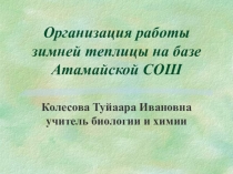 Организация зимней теплицы на базе МБОУ Атамайская СОШ им. В.Д. Лонгинова
