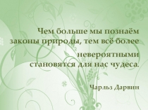 Презентация к уроку Лишайники- растения сфинксы