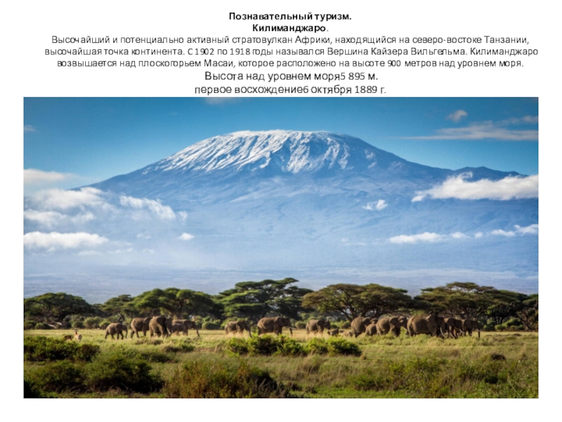 Познавательный туризм.  Килиманджаро. Высочайший и потенциально активный стратовулкан Африки, находящийся на северо-востоке Танзании, высочайшая точка континента.