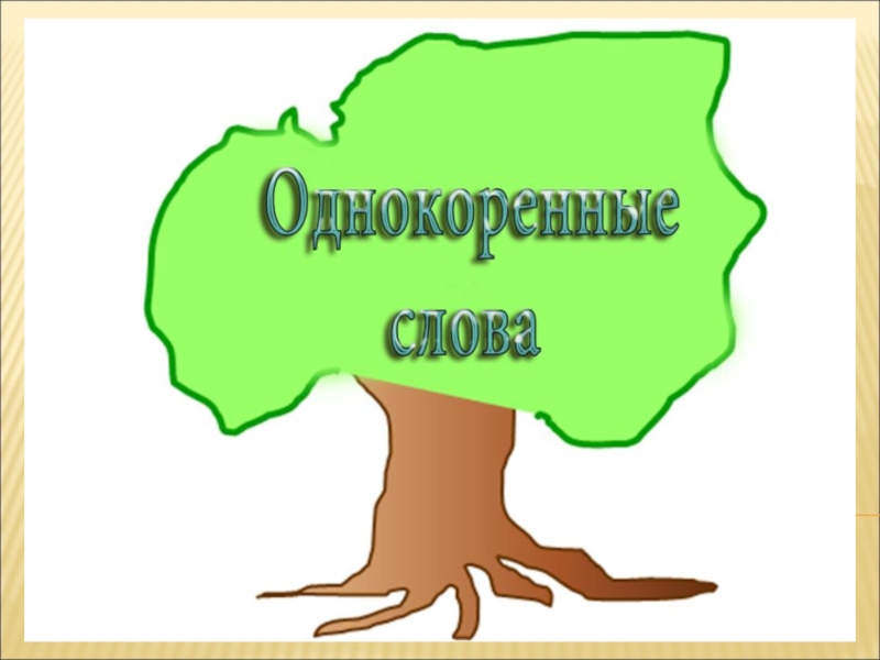 Однокоренные слова презентация. Однокоренные слова 3 класс презентация. Однокоренные слова 3 класс презентация школа. Рука однокоренные слова. Завод однокоренные слова 3 класс.