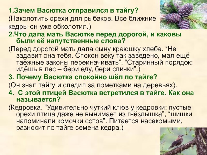 Васюткино озеро план как васютка выжил в тайге