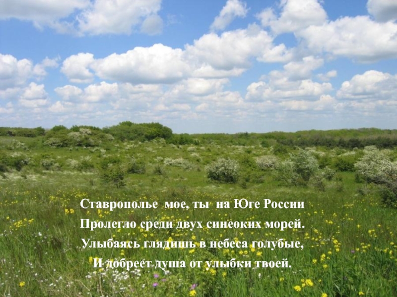 Ставрополье мое, ты на Юге России Пролегло среди двух синеоких морей. Улыбаясь глядишь в небеса голубые, И