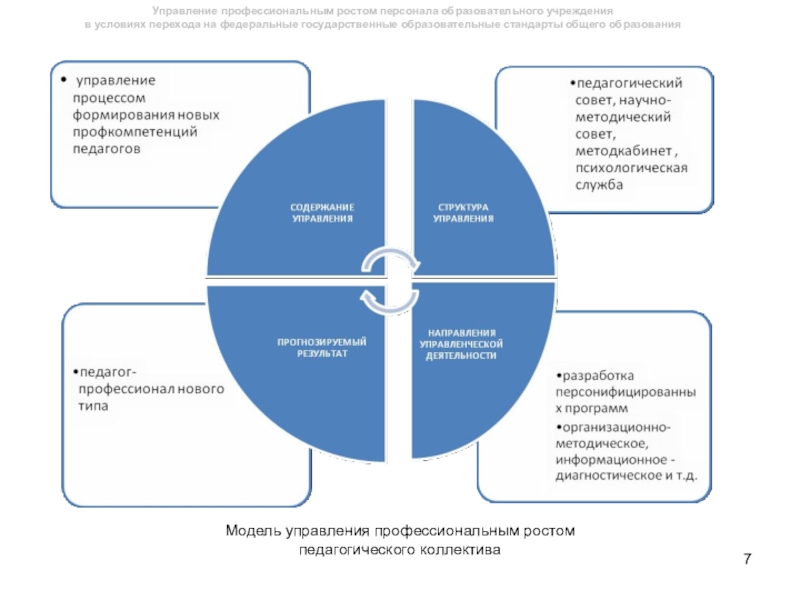 Программа педагогические кадры в образовании. Профессиональная модель управления персоналом. Управление персоналом в образовательном учреждении. Схема управления персоналом в образовательной организации. Модель управление коллективом.