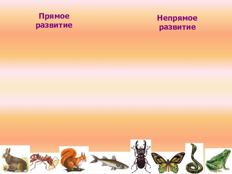 9 класс постэмбриональное развитие презентация