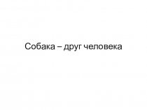 Внеклассное мероприятие Собака – друг человека