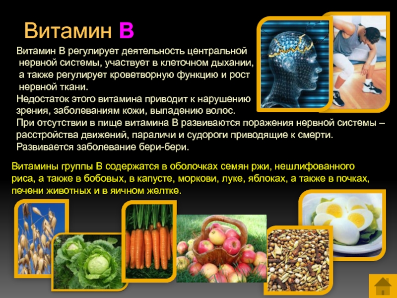 Витамины 8 класс презентация