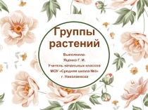 Презентация по окружающему миру на тему Группы растений (1 класс)