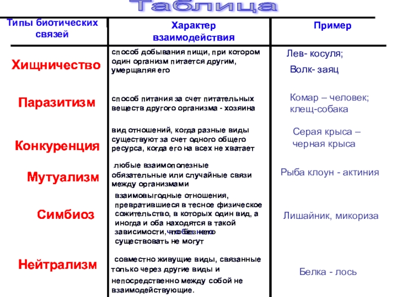 Какая форма биотических взаимоотношений изображена на рисунке корни