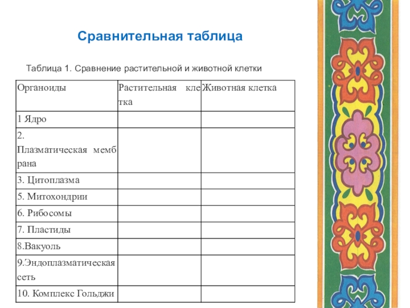 Сравнение растительной и животной клетки таблица