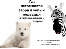 Презентация по познавательному развитию на тему Где встречается зебра и белый медведь?