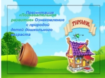 Презентация Познавательное развитие детей дошкольного возраста