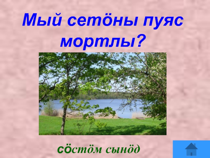 Вид мый. Деревья на Коми языке. Мый на Коми. Пуяс Коми. Мый мый картинки.