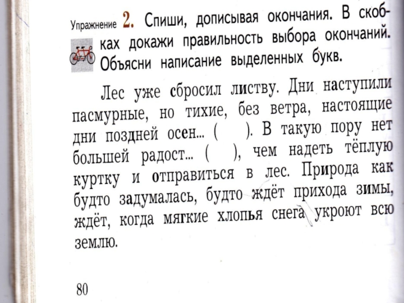 Спиши вставляя окончания имен. Лес уже сбросил листву дни наступили пасмурные. Лес уже сбросил листву диктант. Дни наступили пасмурные тихие без ветра. Диктант лес уже сбросил листву дни наступили пасмурные но тихие.