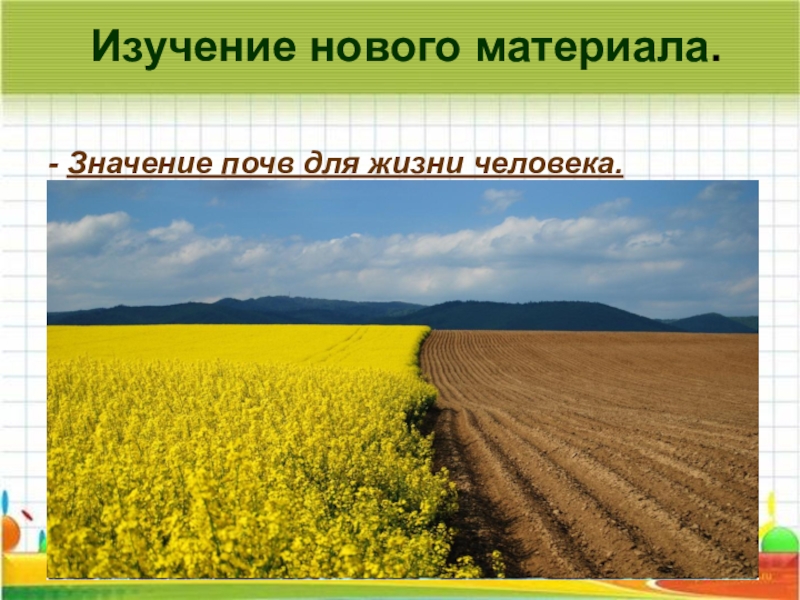 4 земли значение. Значение почвы. Значение почвы для человека. Значение почвы в жизни человека. Значение почвы для жизни.