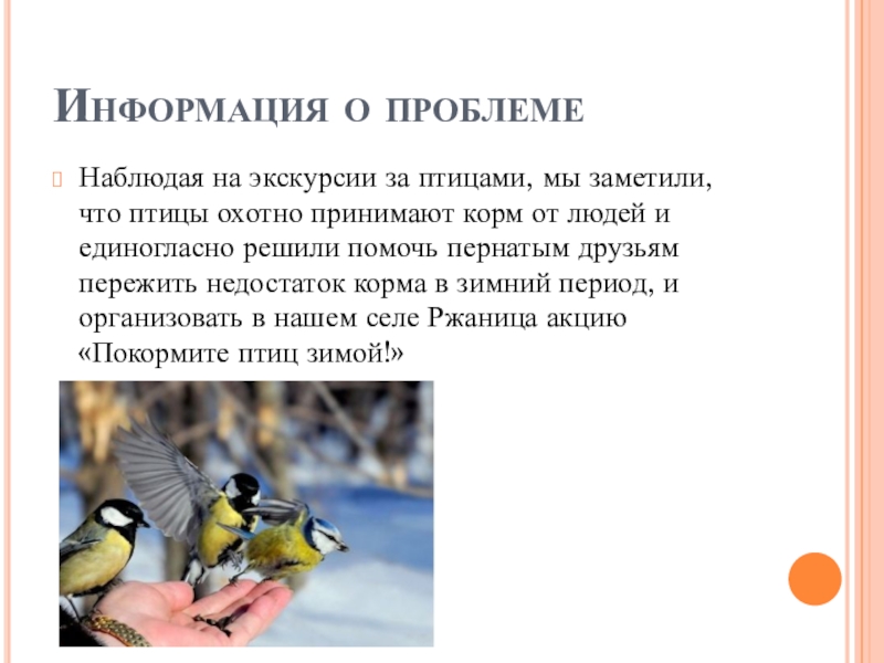Информация о проблемеНаблюдая на экскурсии за птицами, мы заметили, что птицы охотно принимают корм от людей и