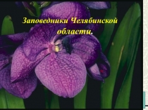 Презентация участников кружка Прикоснись к истокам