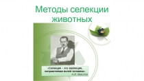 Презентация Методы селекции животных