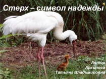 Стерх - символ надежды. Внеклассное мероприятие. (2- 4 класс)