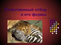 Презентация по теме Естественный отбор